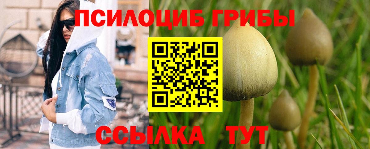 Псилоцибиновые грибы Magic Shrooms  Вход с VPN  Галлюциногенные грибы Psilocybine cubensis  Жуковский 